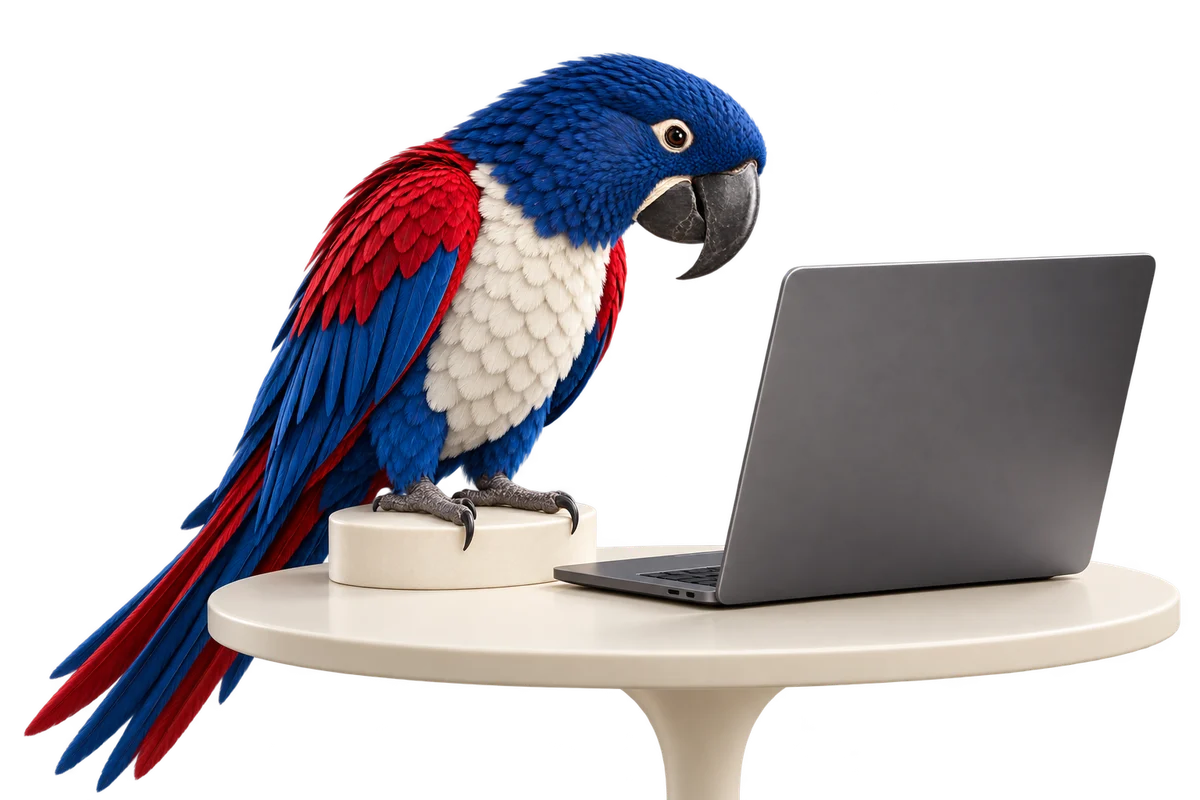 Payrot’s British-colour parrot inspecting a laptop